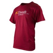USC School of Dornsife